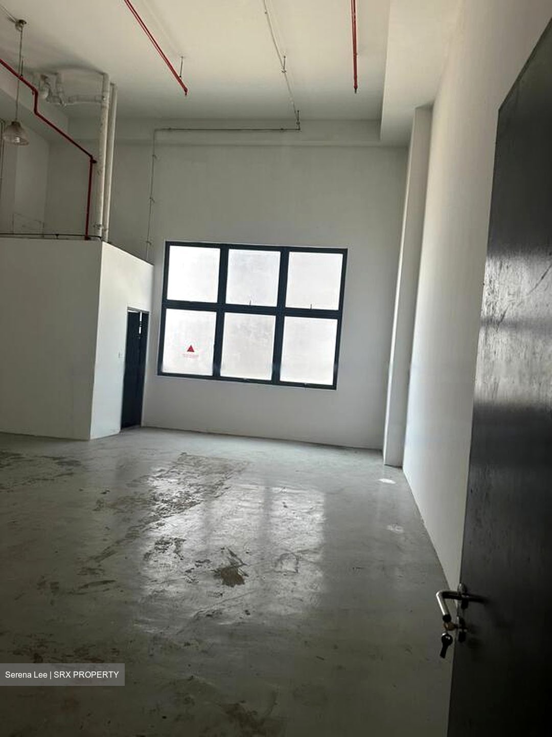 S9 (D19), Factory #479082111